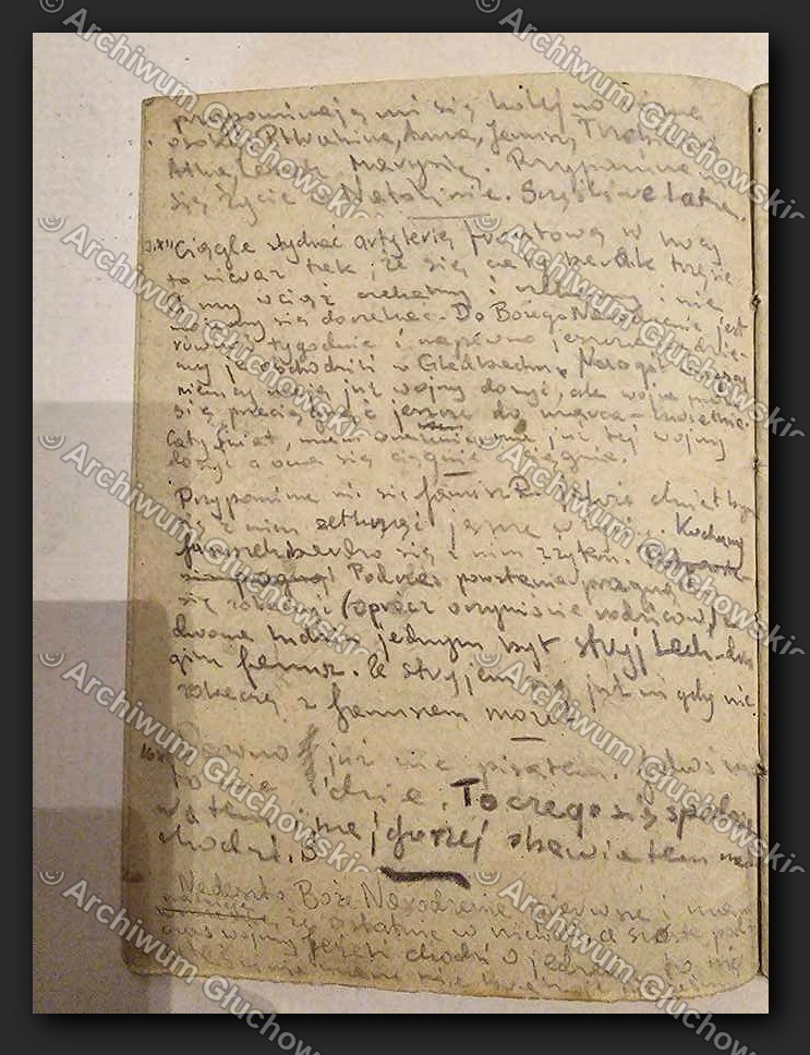 Pamiętnik obozowy — strona 1