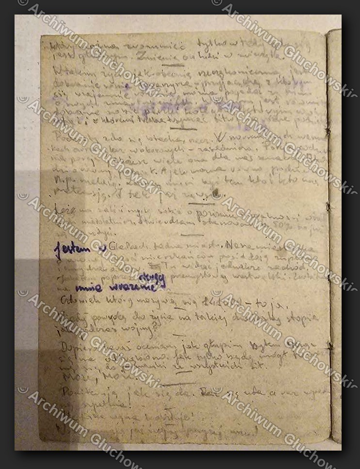 Pamiętnik obozowy — 'Człowiek który noszący nr 141009 — to ja'