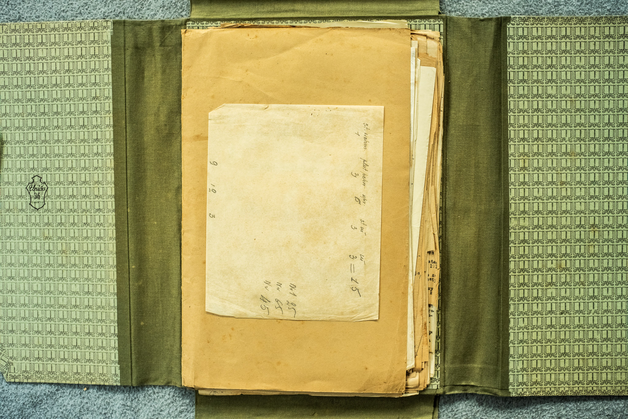 Koperta papierowa z drobnym rękopisem (numerami stron) z teczki JELEN — element archiwizacyjny (DSCF6990, 2048px)