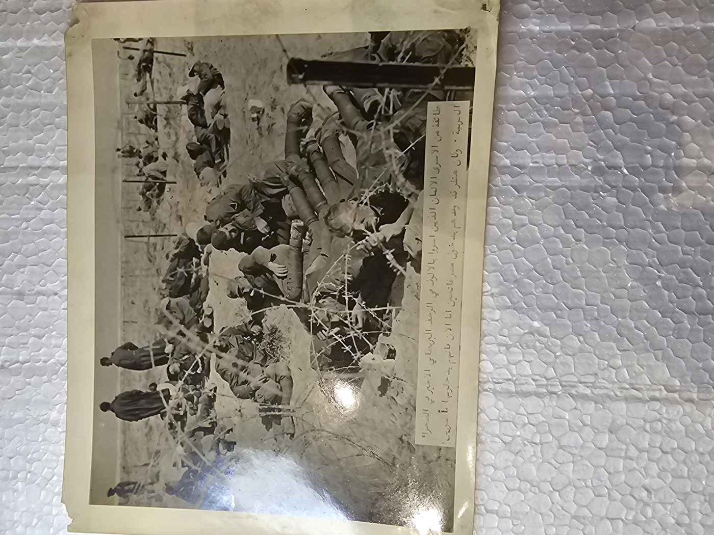 Zestaw 3 fotografii prasowych — Afryka Północna 1941-1943 (British Information Services)
