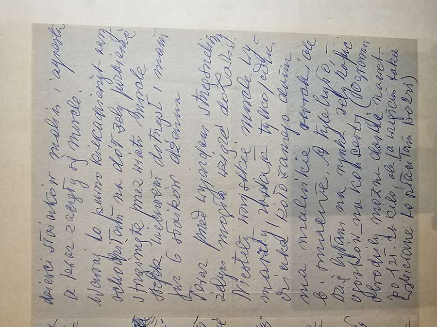List Matki W POCIAGU do Lodzi - pierwszy dzien urlopu, floksy cynie nasturcje